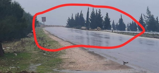 21953152_0.jpg