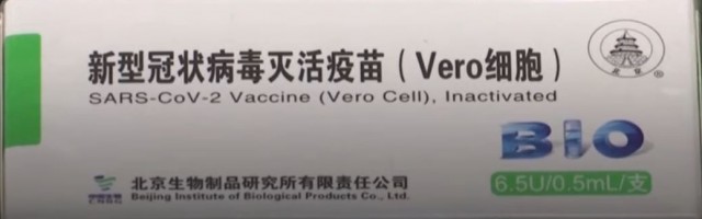 01verocell.JPG