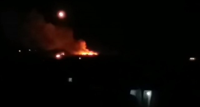 syrian.jpg