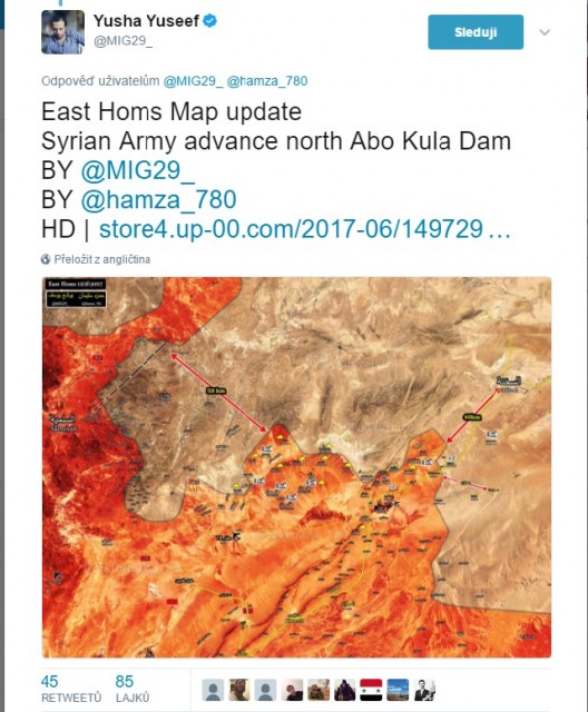 13_06_Palmyra1.jpg